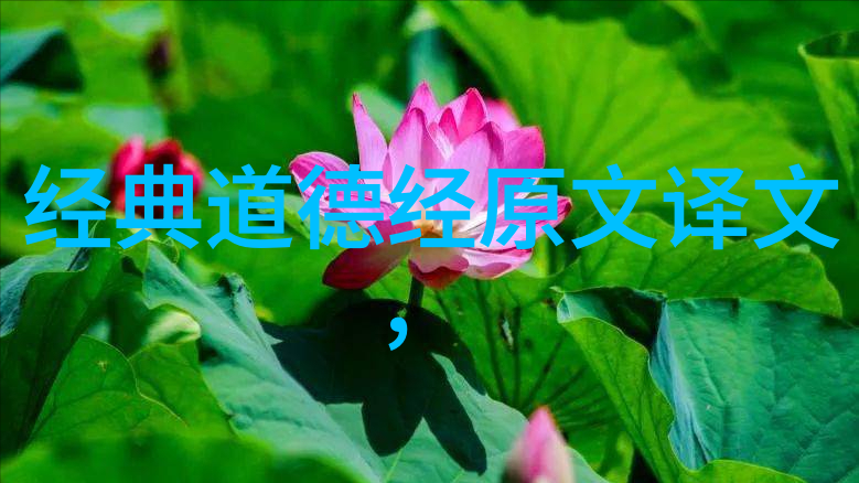 八卦风水与健康创造有益身心的生活环境