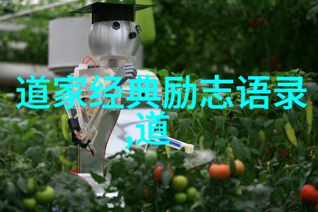 八卦风水与健康打造健康长寿的生活环境
